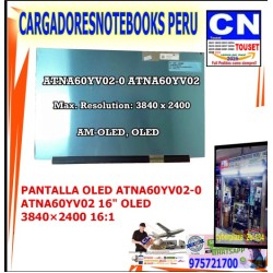 PANTALLA OLED ATNA60YV02-0 16 3840 X 2400 RESOLUCION PANTALLA OLED ATNA60YV02-0 16 3840 X 2400 RESOLUCION